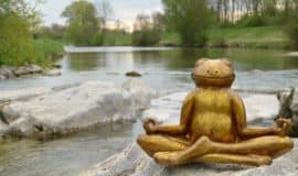 meditating frog statue